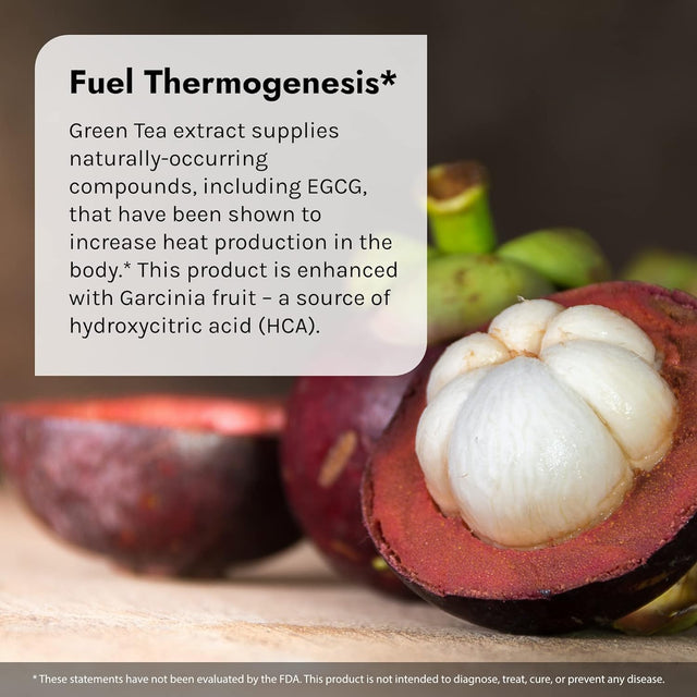 Irwin Naturals Extra-Energy Thermo-Fuel Max Fat Burner - 100 Liquid Soft-Gels - Fuel Thermogenesis & Boost Energy Production - with Green Tea, L-Carnitine & Garcinia - 33 Servings