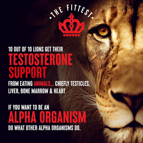 King — Supports Manhood, Alpha Virility, Testosterone and “Top King” Status… Loaded W/Testicle, Liver, Bone Marrow and Heart… “Strength Makes All Other Values Possible” | the Fittest