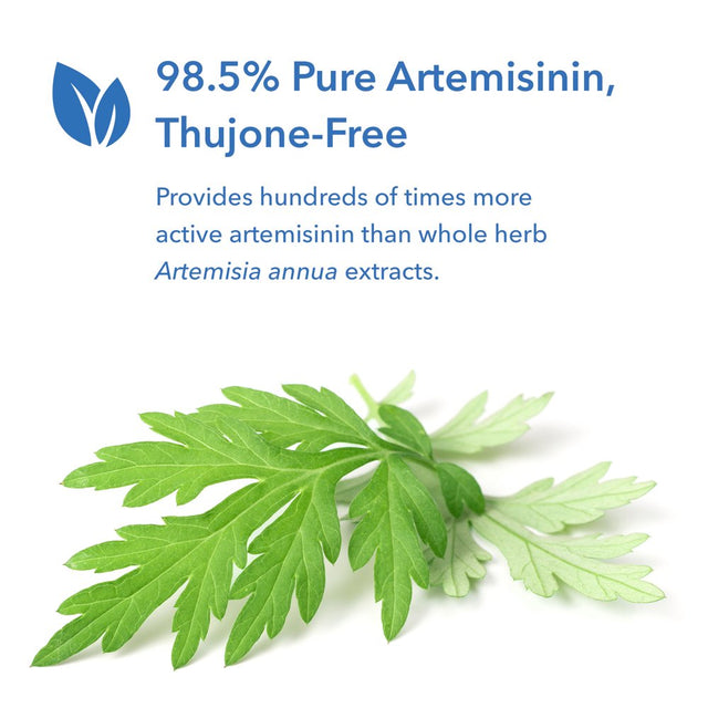 Allergy Research Group - Artemisinin - Microbial Balancer - 300 Vegetarian Capsules