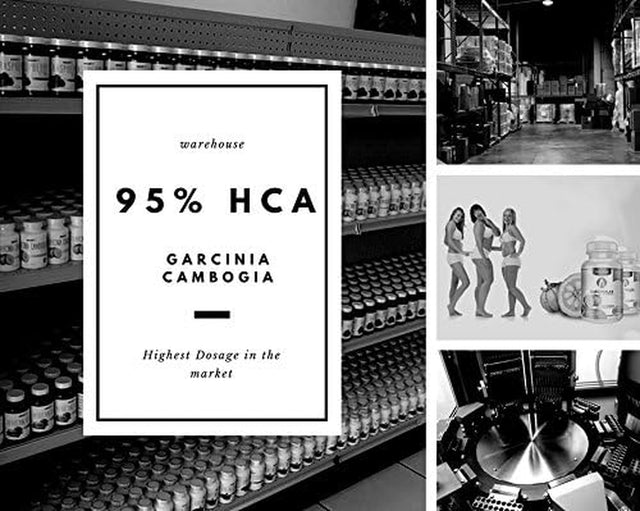 Garcinia Cambogia 3 Pack 95% HCA 90 Capsules Total Supplement