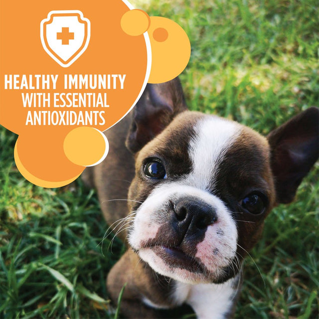 IAMS Chicken and Whole Grain Recipe Dry Dog Food for Puppies, 7 Lb Bag