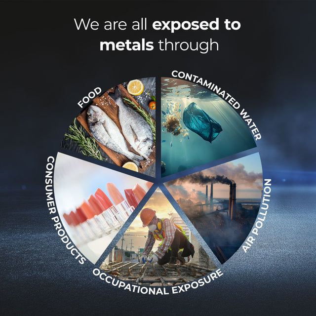 Heavy Metal Detox - Heavy Metal Cleanse Supplement to Flush Pollution from Your Body - Liver Cleanse Formula by Purehealth Research