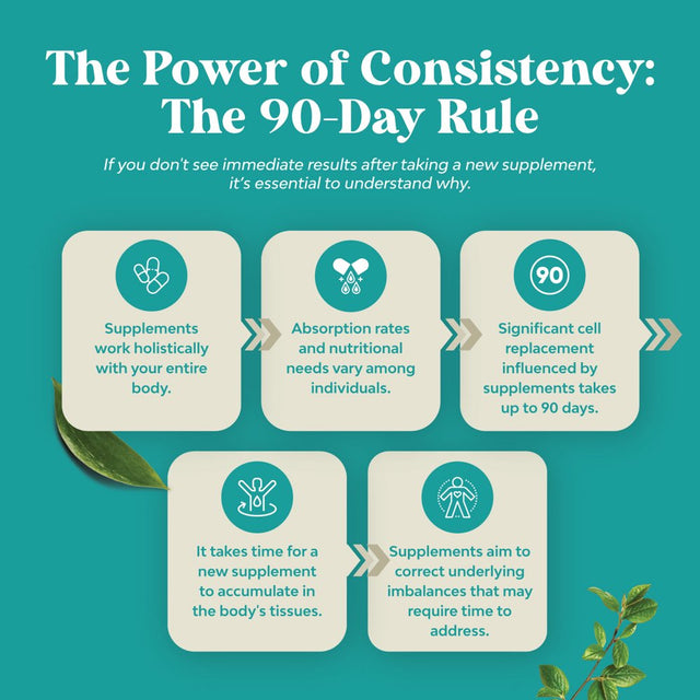 Liver Support Supplement with NAC - Herbal Liver Supplement with N Acetyl Cysteine Silymarin Milk Thistle Extract Dandelion Root Artichoke Extract Choline Bitartrate and Berberine for Liver Cleanse