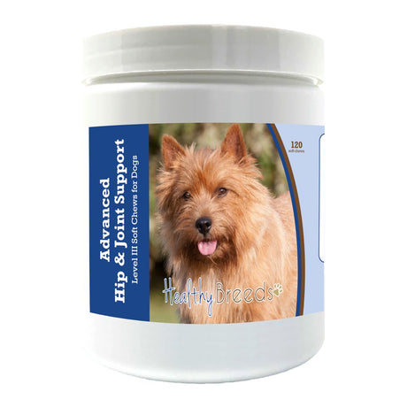 Healthy Breeds Norwich Terrier Advanced Hip & Joint Support Level III Soft Chews for Dogs 120 Count