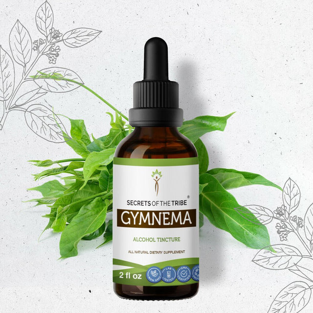 Gymnema Tincture Alcohol Extract, Organic Gymnema (Gymnema Sylvestre) Dried Leaf 2 Oz