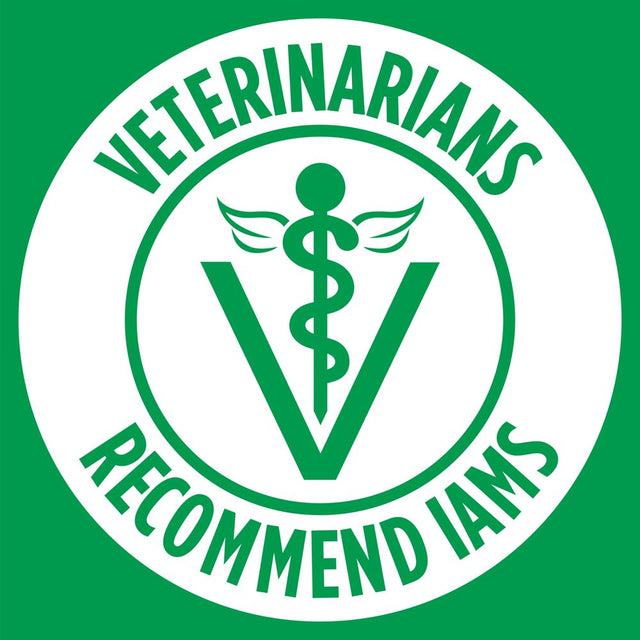 IAMS Proactive Health Minichunks Chicken and Whole Grain Recipe Dry Dog Food, 15 Lb Bag