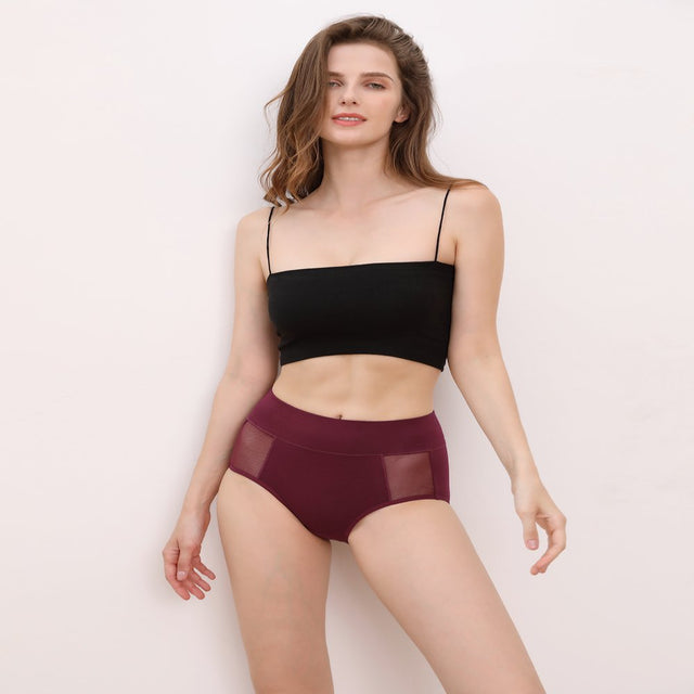 INNERSY Underwear for Women High Waisted Cotton Mesh Panties Briefs 5 Pack (L, Dark Collection)