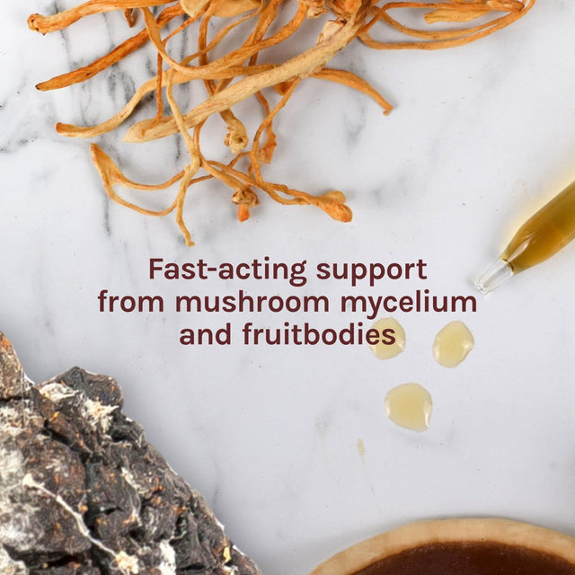 Host Defense, Breathe Extract, Respiratory Support, Mushroom Supplement with Cordyceps, Reishi and Chaga, Plain, 1 Fl Oz