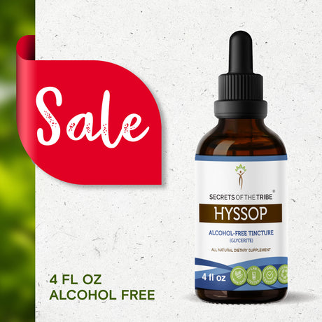 Hyssop Tincture Alcohol-Free Extract, Organic Hyssop (Hyssopus Officinalis) Dried Herb 4 Oz