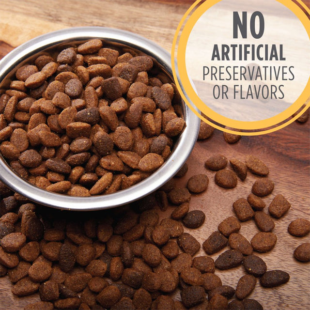 IAMS Chicken and Whole Grain Recipe Dry Dog Food for Puppies, 7 Lb Bag