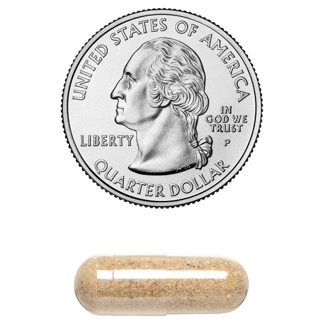 Healthy Lungs 120 Capsules - a All Natural Lung Health Supplement That Quickly Reduces Mucus and Phlegm, Congestion While Improve Breathing, Cleanse, Detox and Reducing Coughing. Made in the USA