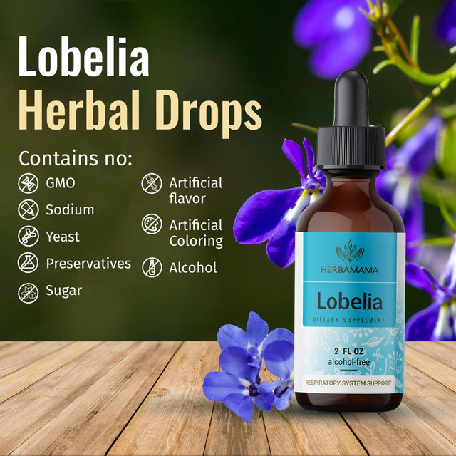 HERBAMAMA Lobelia Liquid Extract - Organic Herb Tincture for Lung Health, 2 Fl Oz