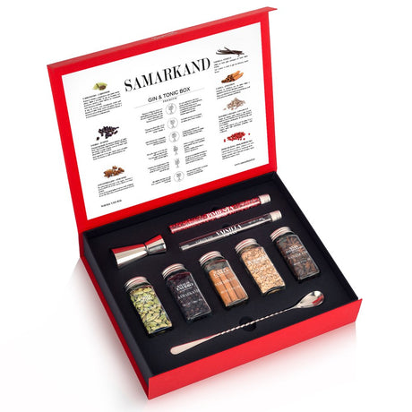 Gin & Tonic Premium Set of Cocktail Botanicals & Spices - Spoon & Dispenser - Mixology Flavoring Kit