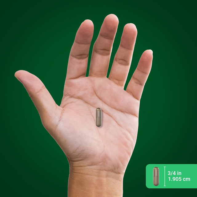 Damiana Leaves 750 Mg | 200 Quick Release Capsules | Non-Gmo, Gluten Free | by Piping Rock