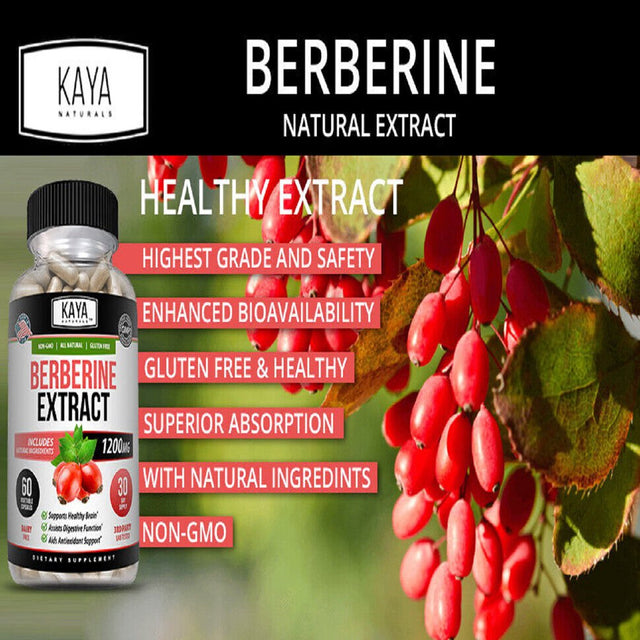 Kaya Naturals Premium Berberine Hcl Extract 1200Mg, Healthy Cholesterol, Anti-Inflammatory