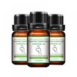 3Pcs Slimming Body and Firming Essential Oil Fat Burning Powerful Diet Effect Slimming Weight Loss Leg Fat Burner