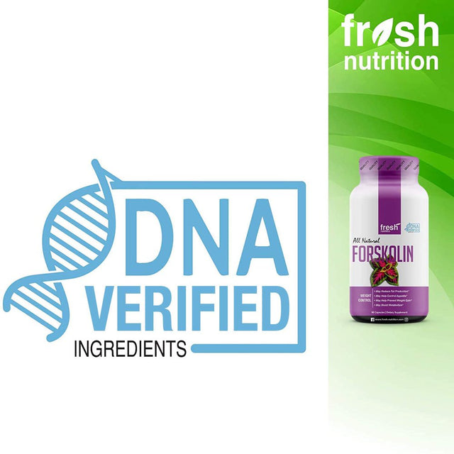 Fresh Nutrition Forskolin Supplement - Strongest DNA Verified - Belly Fat Burner 90 Caps