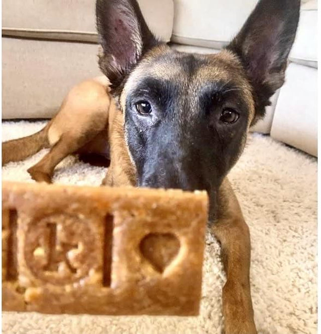 Kradle Bliss Bar - Dog Calming Peanut Butter Bacon Flavor Soft Bake (2 Pack)