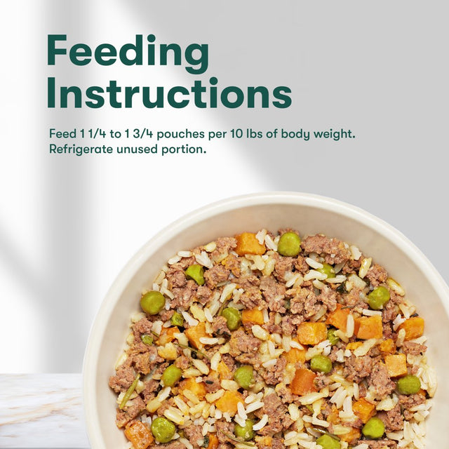 Jinx Homemades Chicken Recipe Wet Natural Dog Food, Whole Grain, 9 Oz. Pouch