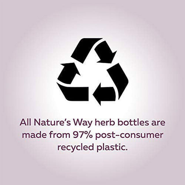 Natures Way Turmeric Curcuma Std Ext, 60 CT