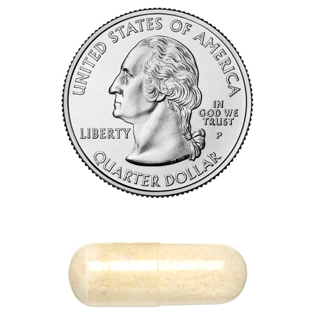 Amazing Formulas Boswellia Extract with Bioperine- 600Mg (Standardized to 65% Boswellic Acids), Capsules - Contains 65% Boswellic Acids, Supports Muscle, Joint & Connective Tissue Health (240 Count)