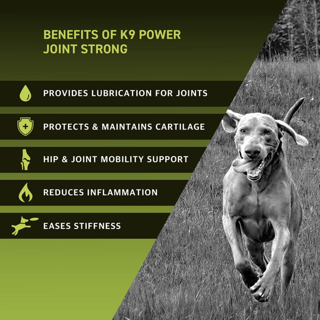 K9 Power Joint Strong, Nutritional Supplement for Dogs, 2Lbs