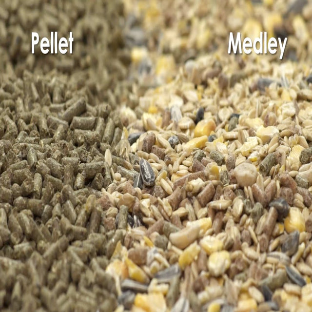 Kaytee Forti-Diet Pro Health Adult Rabbit Food 10Lb