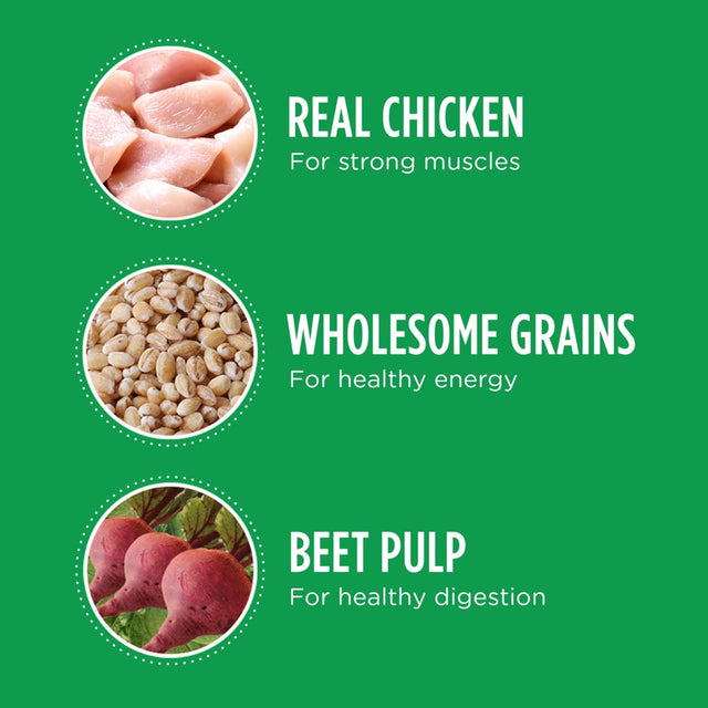 IAMS Proactive Health Chicken and Whole Grain Recipe Dry Dog Food, 30 Lb Bag