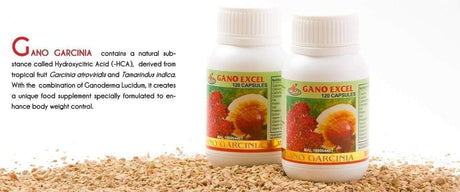 Gano Excel Gano Garcinia 120 Capsules (8 Bottle)