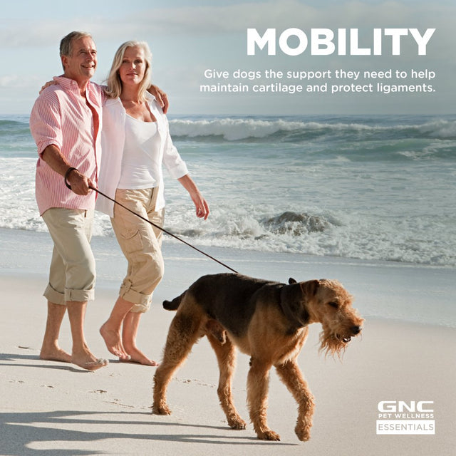 GNC Pet Wellness Essentials Hip & Joint Soft Chews, All Dog, 60Ct