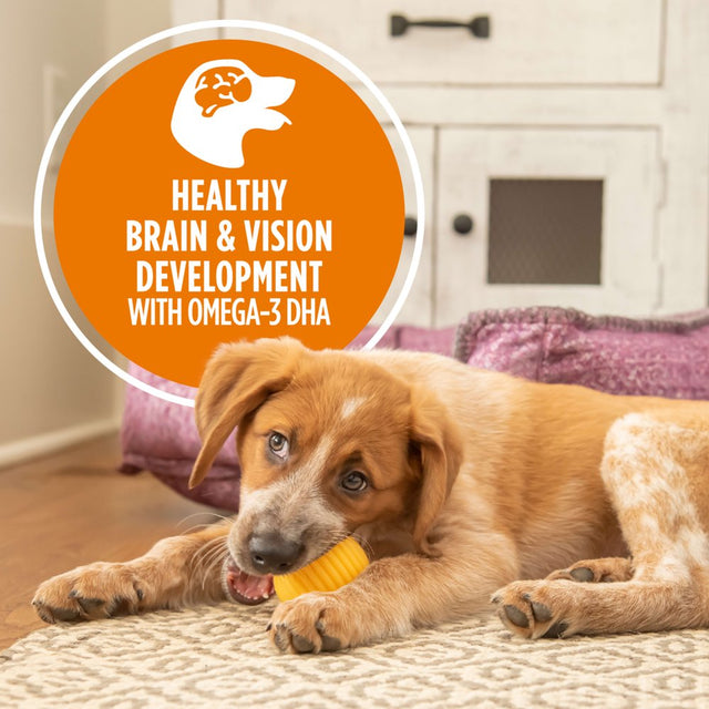 Iams Proactive Health Puppy with Chicken and Rice Classic Ground, 13 Oz. Can