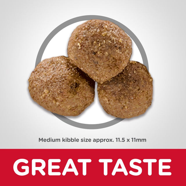 Hill'S Science Diet (Spend $20,Get $5) Adult Lamb Meal & Brown Rice Recipe Dry Dog Food, 33 Lb Bag-See Description for Rebate Details