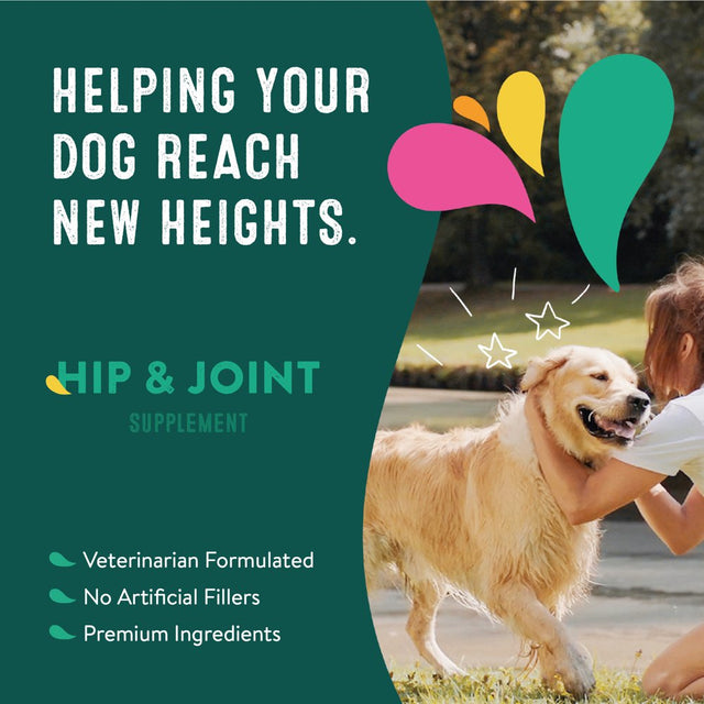 Happy Go Healthy Hip & Joint Supplements for Dogs | Probiotic & Prebiotic Benefits with Wild Salmon Omega 3S to Help Your Dog Reach New Heights | All Breeds and Sizes | 21 Count