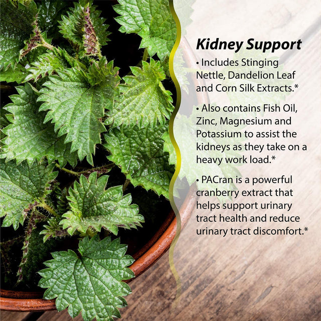 Irwin Naturals 2-In-1 Kidney & Liver Super Cleanse 60 Sgels