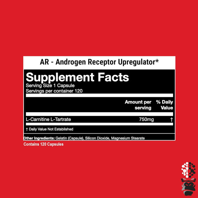 Gorilla Mode AR Carnitine 750Mg Capsules – Androgen Receptor Upregulator/Boosts Cellular Energy, Upregulates Androgen Receptor Density/Shuttles Fatty Acids (120 Capsules)