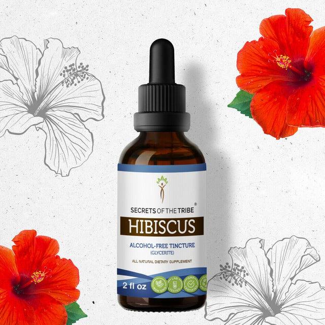 Hibiscus Tincture Alcohol-Free Extract, Organic Hibiscus (Hibiscus Sabdariffa) Dried Flower 2 Oz