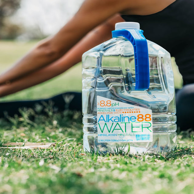 Alkaline88 Purified, Ionized Alkaline Water - 1 Gallon Bottle