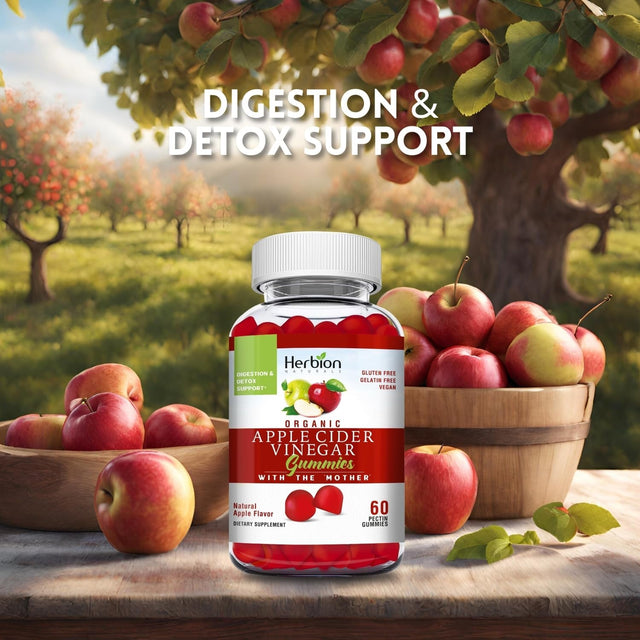 Herbion Naturals Organic Apple Cider Vinegar Gummies with the “Mother”, Digestion and Detox Support, Pectin Based, Vegan, Made in the USA - (Pack of 2, 120 Gummies)