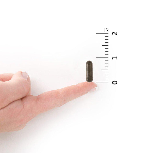 Garden of Life Whole Food Probiotic Supplement - Primal Defense Ultra Ultimate Probiotic Dietary Supplement for Digestive and Gut Health, 180 Vegetarian Capsules 180 Count (Pack of 1)