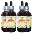 Motherwort (Leonurus Cardiaca) Tincture, Organic Dried Herb Liquid Extract (Herbal Terra, USA) 4X4 Oz