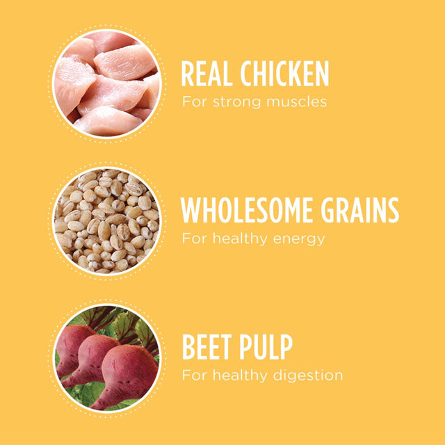 IAMS Chicken and Whole Grain Recipe Dry Dog Food for Puppies, 7 Lb Bag