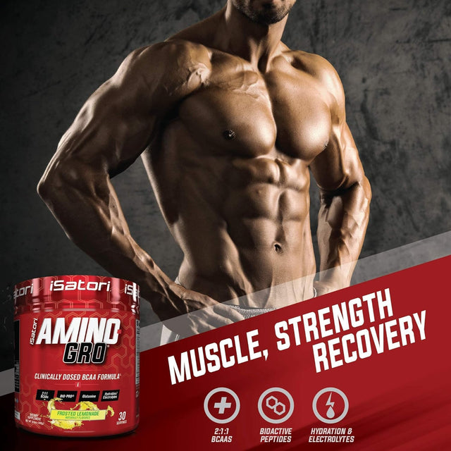 Isatori Bio-Gro Protein Synthesis Amplifier - Unflavored (60 Servings) Amino-Gro BCAA Powder - Frosted Lemonade (30 Servings)
