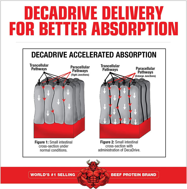 Musclemeds Amino DECANATE Energy, Pre, Intra Workout Drink, Essential Amino Acids, Bcaas, High Leucine, Glutamine, Muscle Recovery, Strawberry Kiwi, 30 Servings