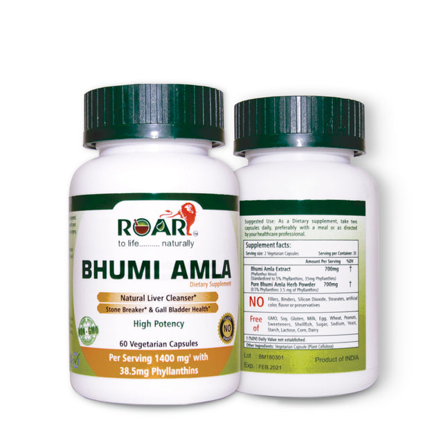 High Potency Bhumi Amla (Phylanthus Niruri) - 700 Mg per Vegetarian Capsule with Standardized Extract of 5% Phyllanthins for Liver Cleanser, Gall Bladder Support and Stone Breaker- 1 Months Supply