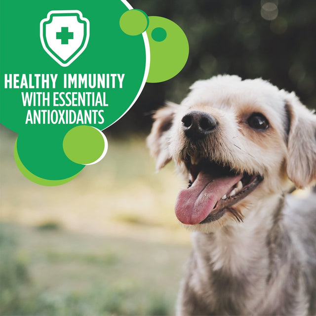 IAMS Chicken & Whole Grains Dry Dog Food for Petite & Small Breed Adult Dog, 7 Lb. Bag