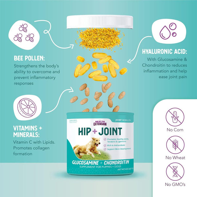 Health Extension Joint Mobility Powder - 1 Lb.