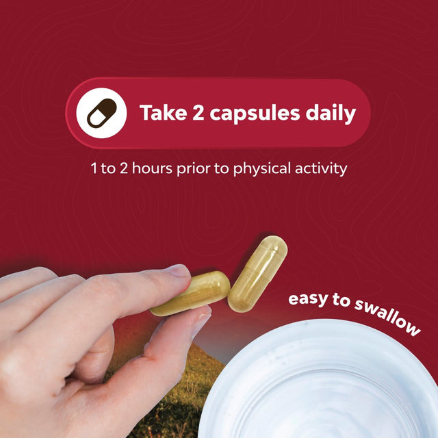 Horny Goat Weed Extract Complex - Invigorating Blend with Tribulus Saw Palmetto L Arginine and Tongkat Ali Extract and Maca Root for Men and Women for Enhanced Energy and Stamina - 60 Capsules