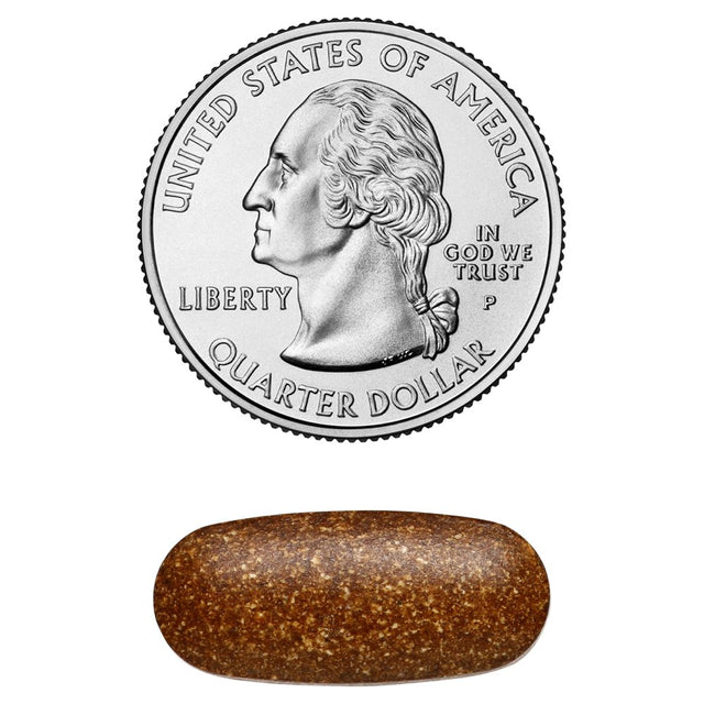 Amazing Formulas Tribulus Dietary Supplement - 1000MG - 90 Tablets per Bottle - Standardized to Contain Min. 45% Saponins - Supports Lean Muscle Mass, Promotes Cardiovascular Health,