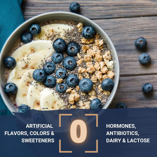 Gaspari Nutrition Proven Egg, 100% Egg White Protein, 25G Protein, Keto Friendly, Dairy Free, Lactose Free, Soy Free (2 Lbs, Chocolate)