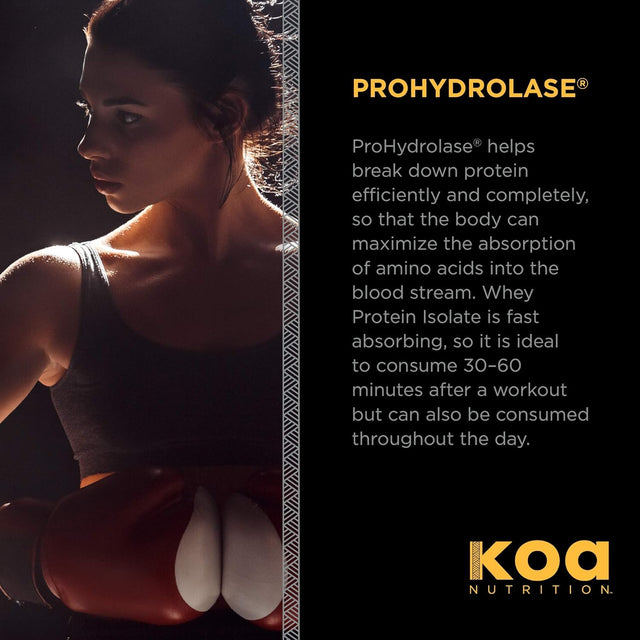 KOA WARRIOR Whey Protein Isolate | Performance Driven, Pure Protein Isolate with Bcaas and No Artificial Flavors or Sweeteners - Chocolate - 6Lb Bag